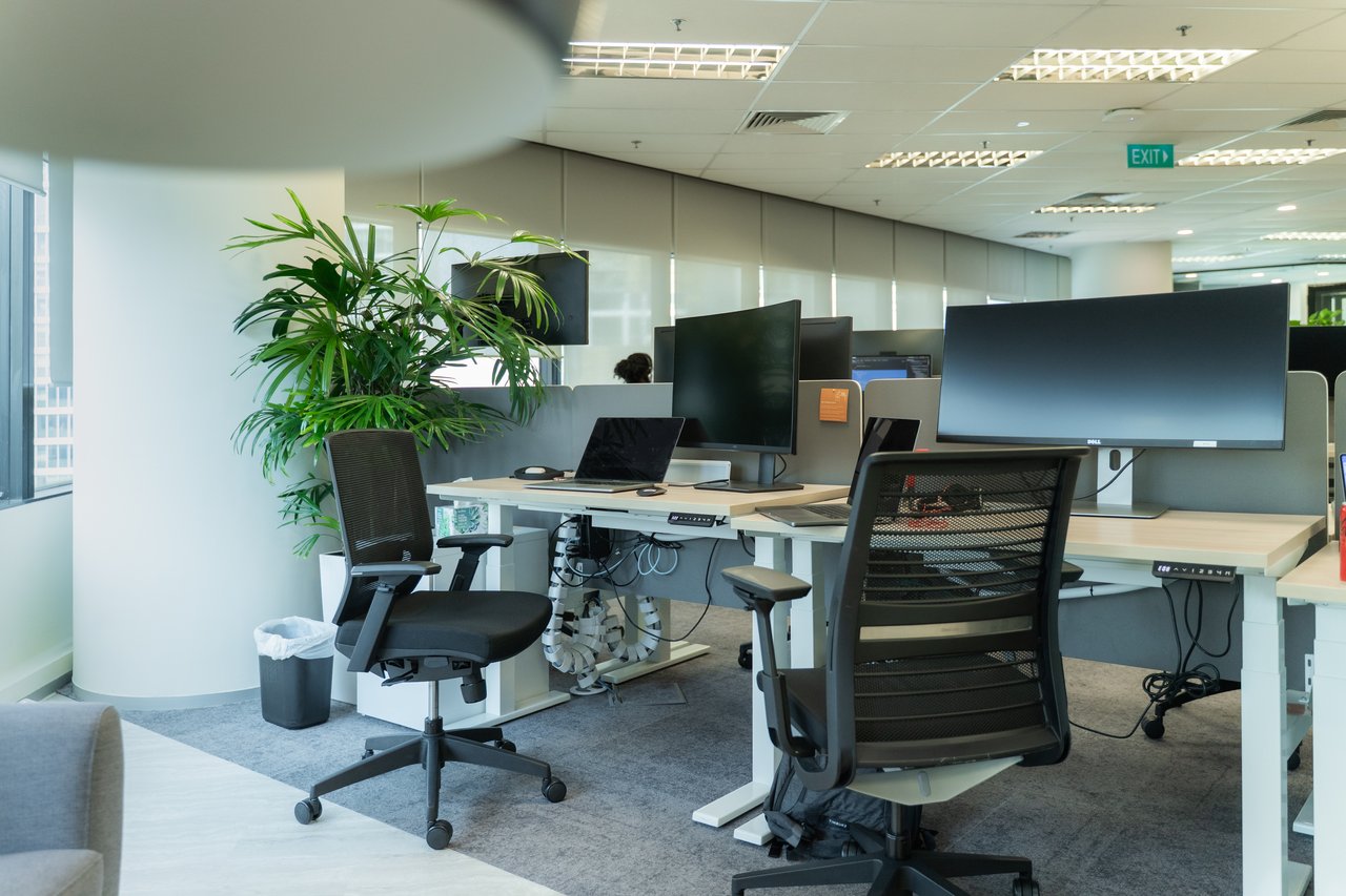 An open-plan office workspace with adjustable desks, office chairs, and multiple computer monitors. Indoor plants and large windows create a bright, modern, and tidy working environment.